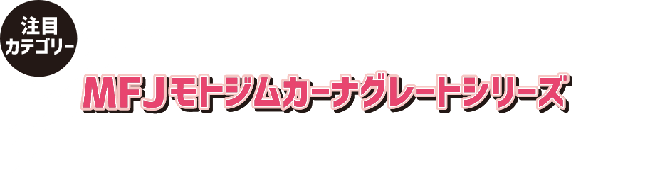 〜注目カテゴリ〜MFJモトジムカーナグレートシリーズ